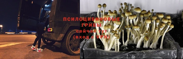 мяу мяу кристалл Аркадак