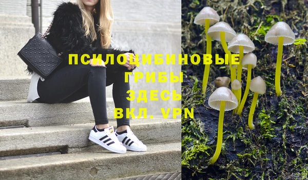 тгк Армянск