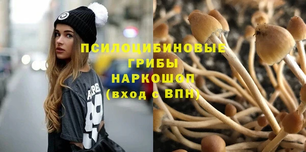 таблы Арсеньев