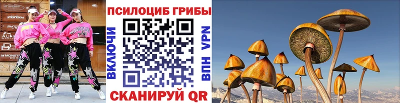 Псилоцибиновые грибы ЛСД  где купить   Яблоновский 